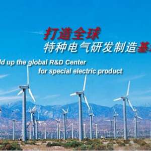 北京人民电器厂有限公司